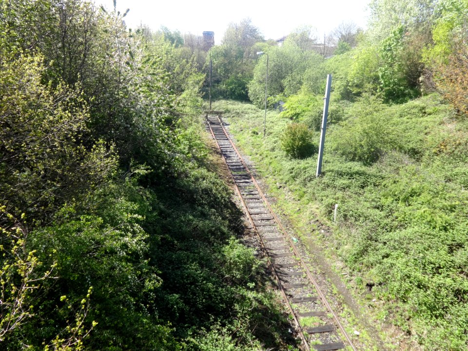 Crown Street Park, Liverpool 07 May 2015 (11)