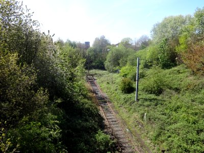Crown Street Park, Liverpool 07 May 2015 (13)