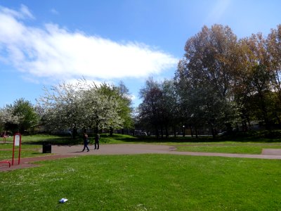 Crown Street Park, Liverpool 07 May 2015 (6)