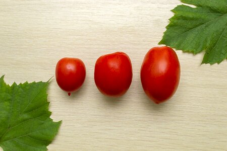 Vegetable freshness nutrition