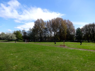 Crown Street Park, Liverpool 07 May 2015 (3)