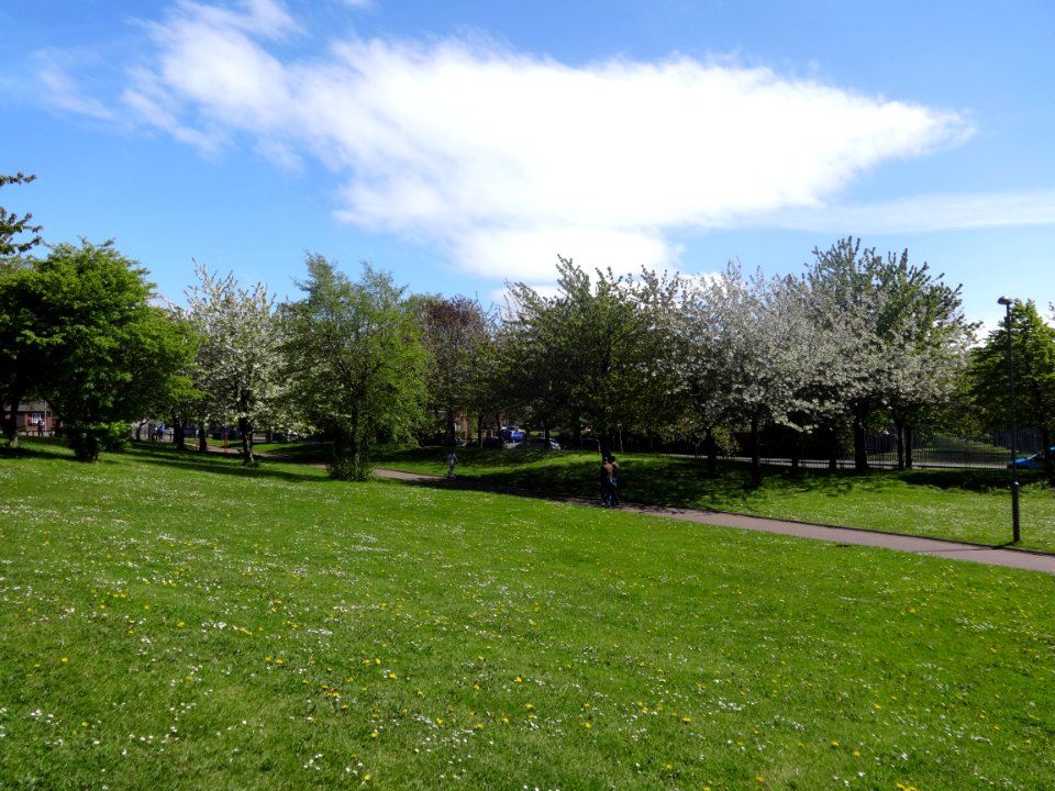 Crown Street Park, Liverpool 07 May 2015 (8)