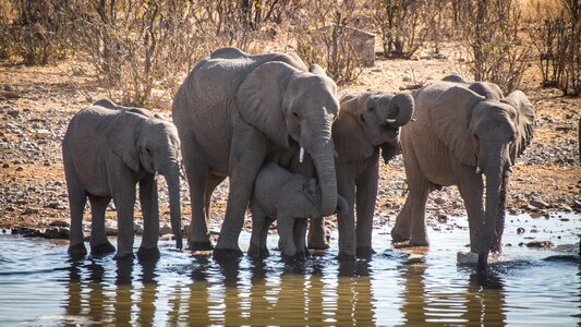 Landscape travel africa photo