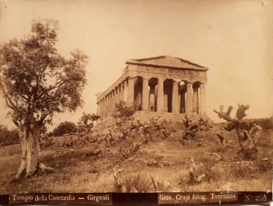 Crupi, Giovanni (1849-1925) - n. 256 - Tempio della Concordia - Girgenti
