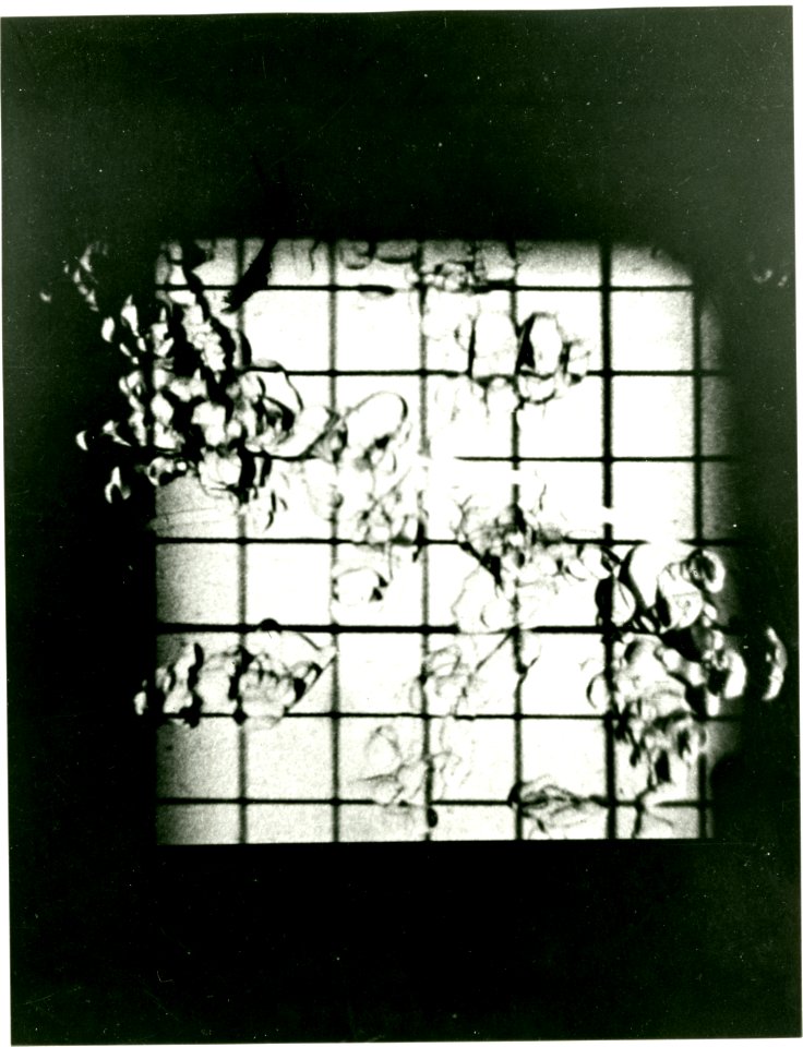 Cryogenics 023