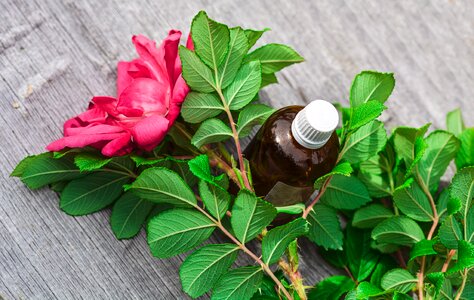 Aromatic body bottle