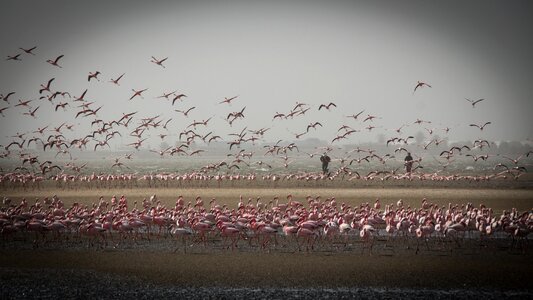 Landscape travel africa