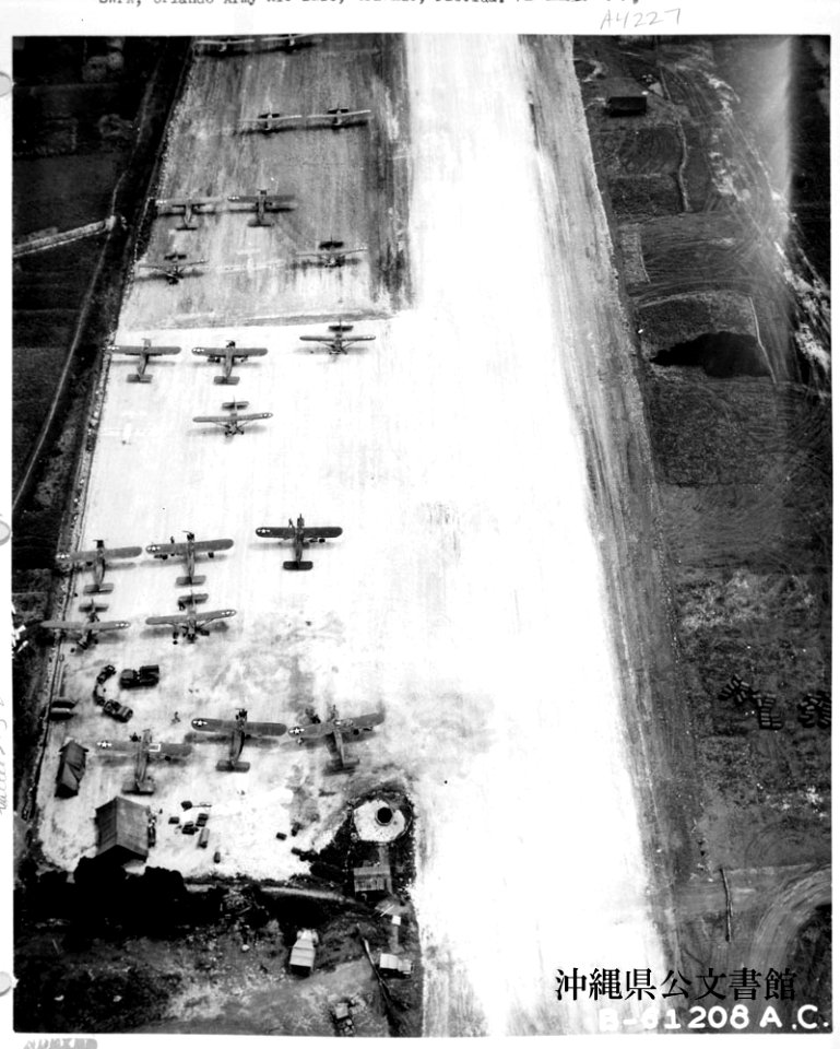 Cub Airstrip on Beasley Field
