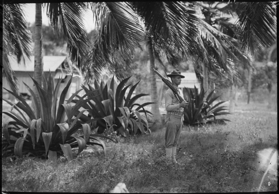Cuba, Guantanamo Sentry beneath palms., 1919 - NARA - 532583