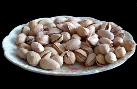 Healthy plate nutritionist