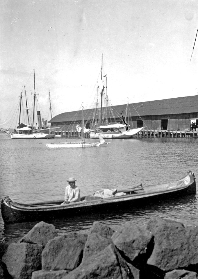 Cuna-indian i sin kanot på besök i Colons hamn. Stam, Cuna. Lokal, Colon, Panamá, C.Z. Colon - SMVK - 004495