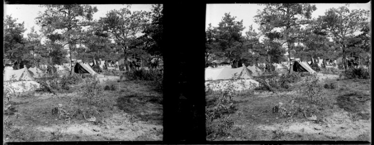 Cuperly. Campement du 7e d'Artillerie - Fonds Berthelé - 49Fi580