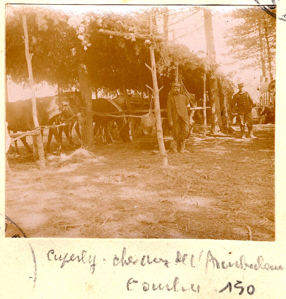 Cuperly. Chevaux de l'Ambulance - Fonds Berthelé - 49Fi1872-150