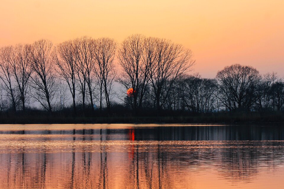 Water water surface trees