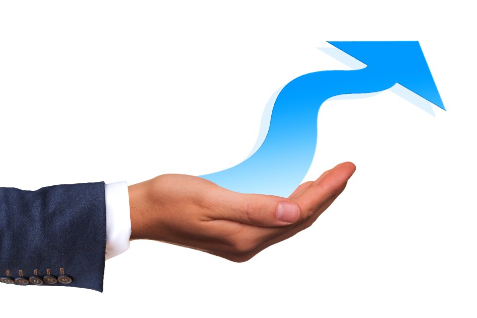 Rise consulting business