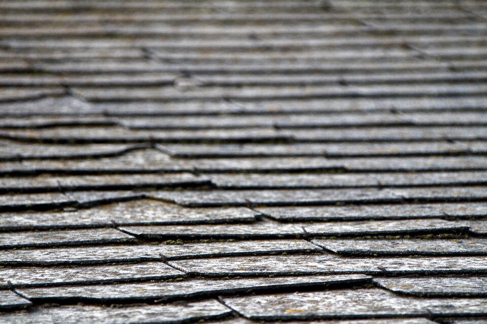 Moss housetop tile