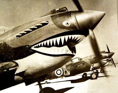 Curtiss P-40 Tomahawk airplanes, North African Campaign, WWII (37095900972)