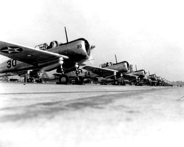 Curtiss SNC-1s NAS Jax Dec 1941