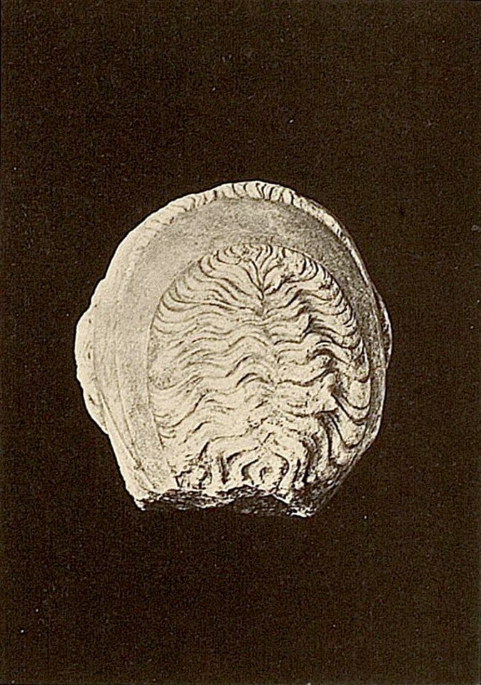 Curtius Olympia 5 t09b