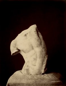 Curtius Olympia 1 t21