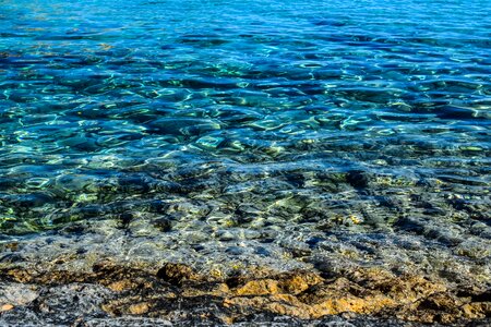 Transparent nature ocean