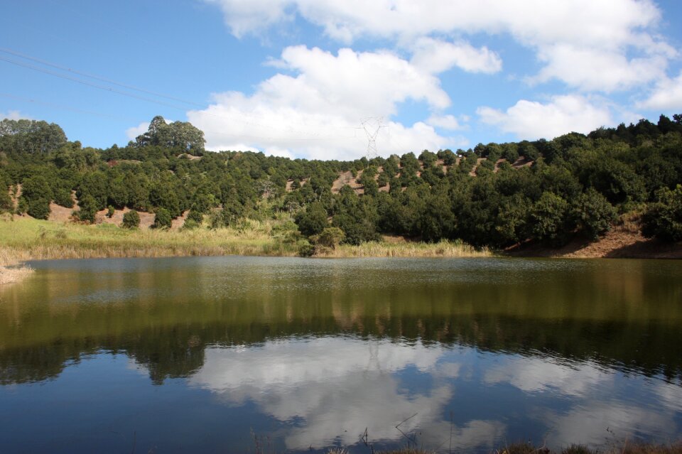 Nature summer water