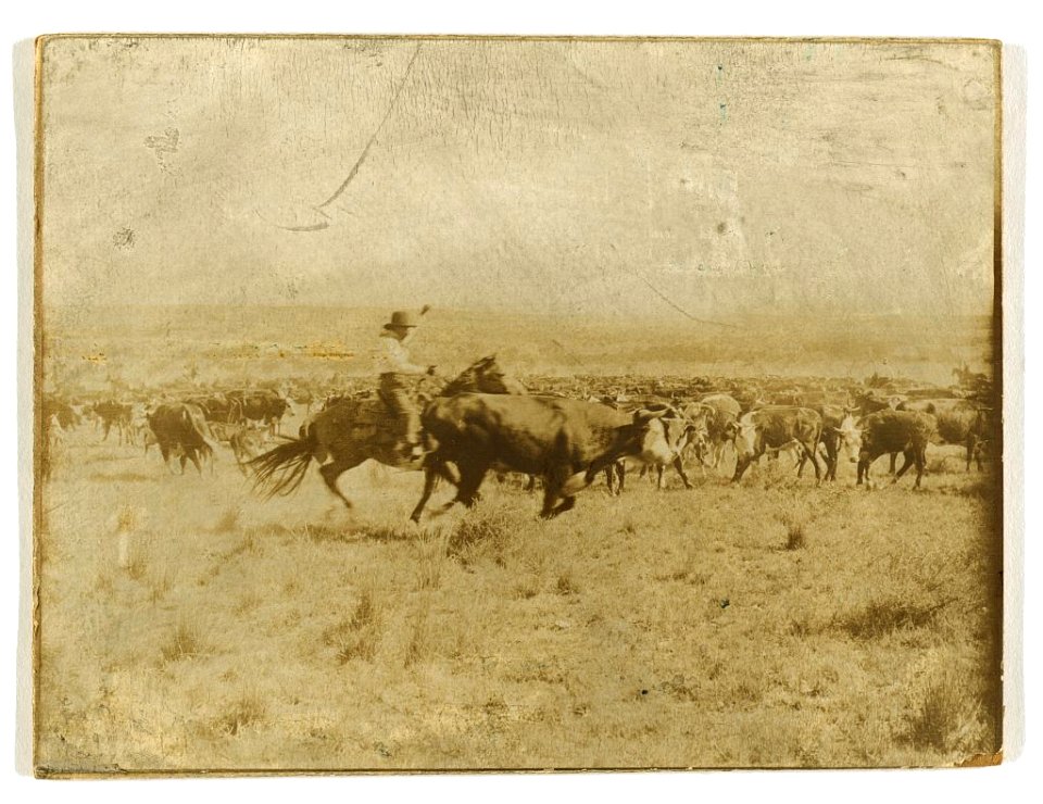 Cutting out from the herd LCCN2005676954