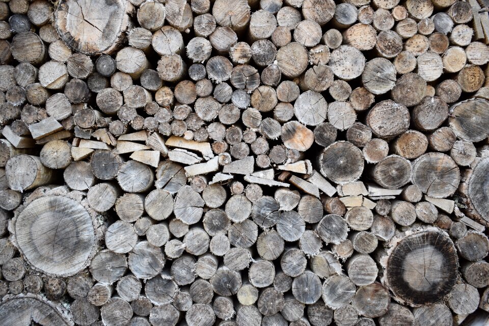 Pile timber logging