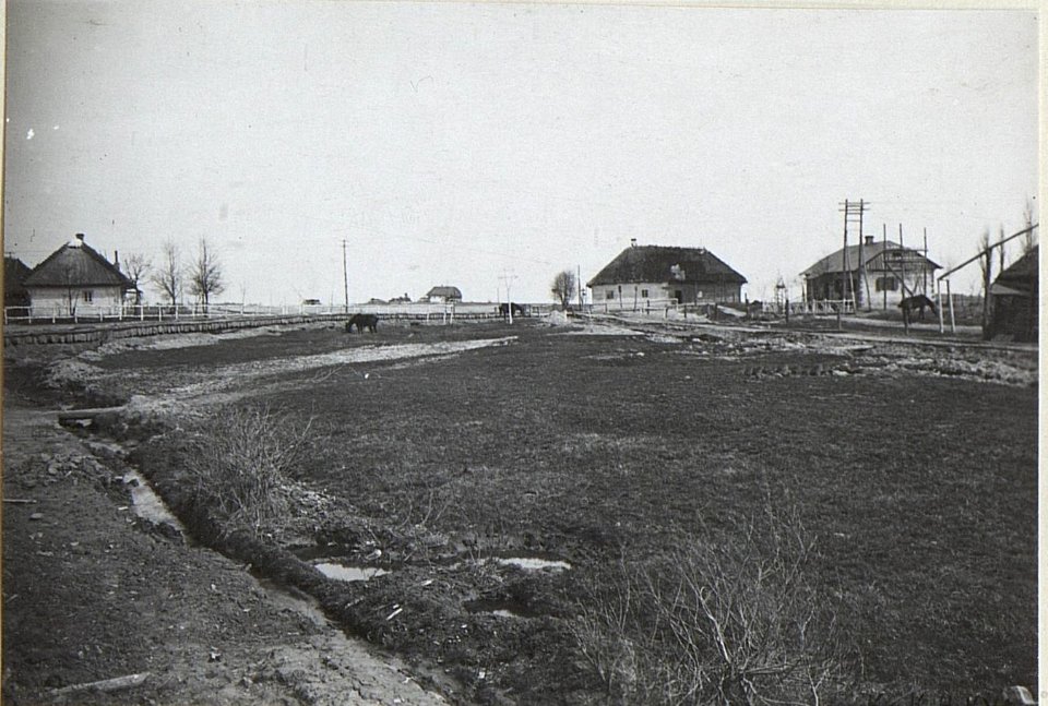 Czerniejw. (BildID 15692126)