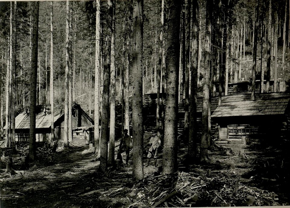 Czymczyna-Fuchsbau (BildID 15717607)