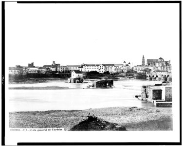 Córdoba. Vista general de Córdoba LCCN94511941