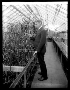 D.A.R. Shantz, 1-7-21 LCCN2016852371