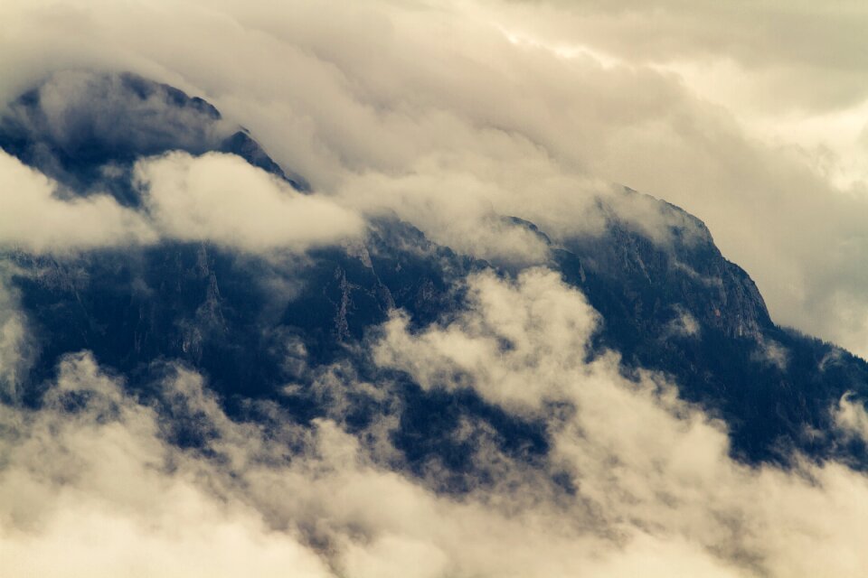 Plant cloud fogs