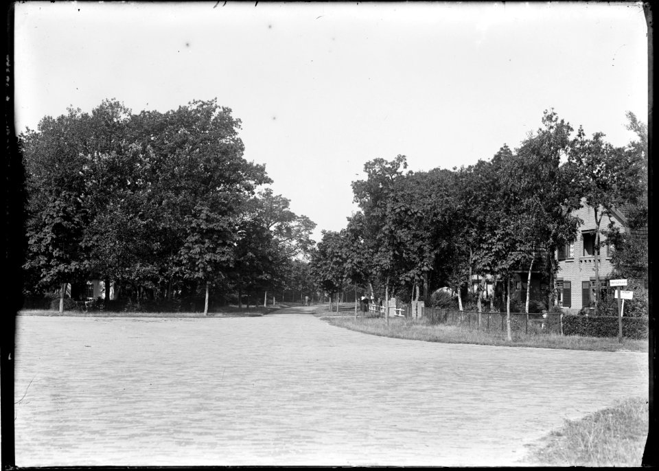 De Kastanjelaan gezien vanaf de hoek Vijverlaan-Van Reenenpark - Regionaal Archief Alkmaar - FO1400020