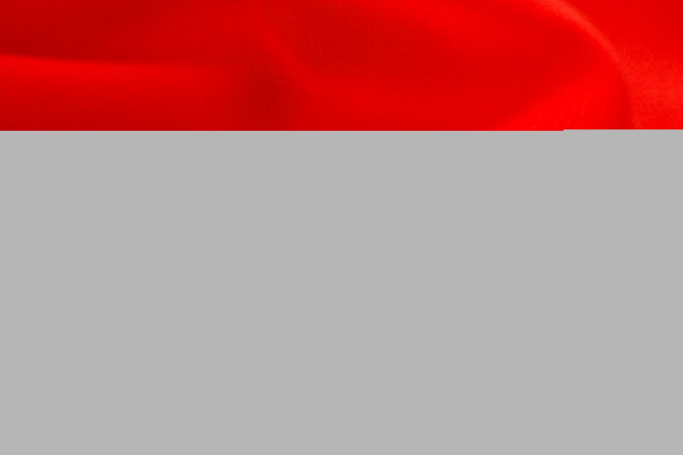 Color image no people cotton