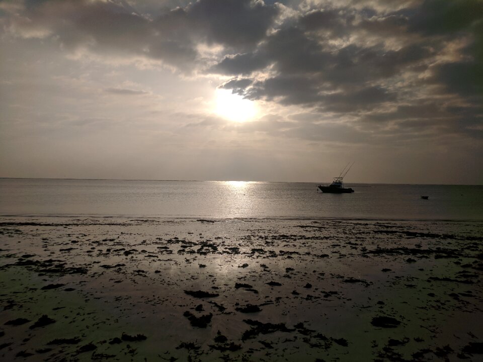 Dawn sea beach
