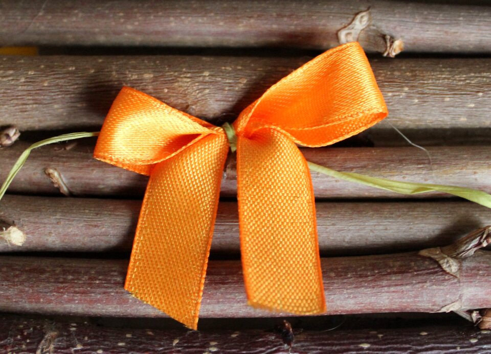 Ornaments the ribbon ornament