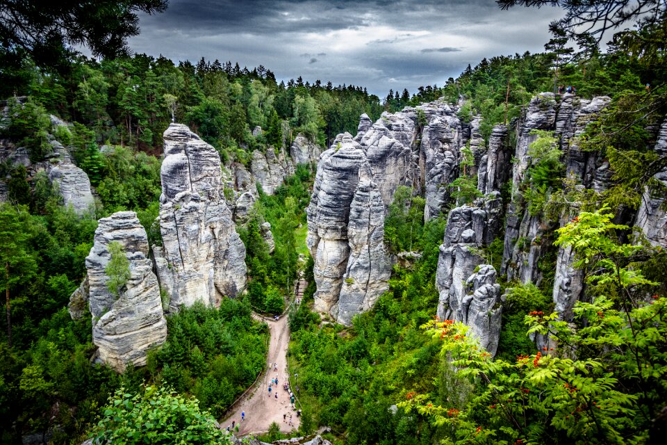 Rocks nature trees