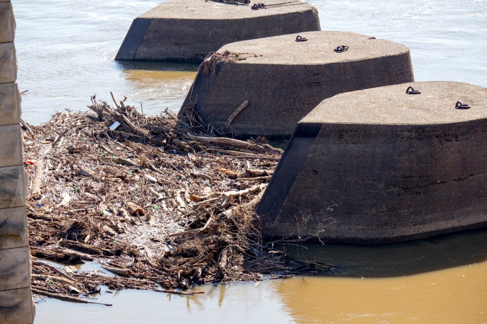 Seashore river pollution