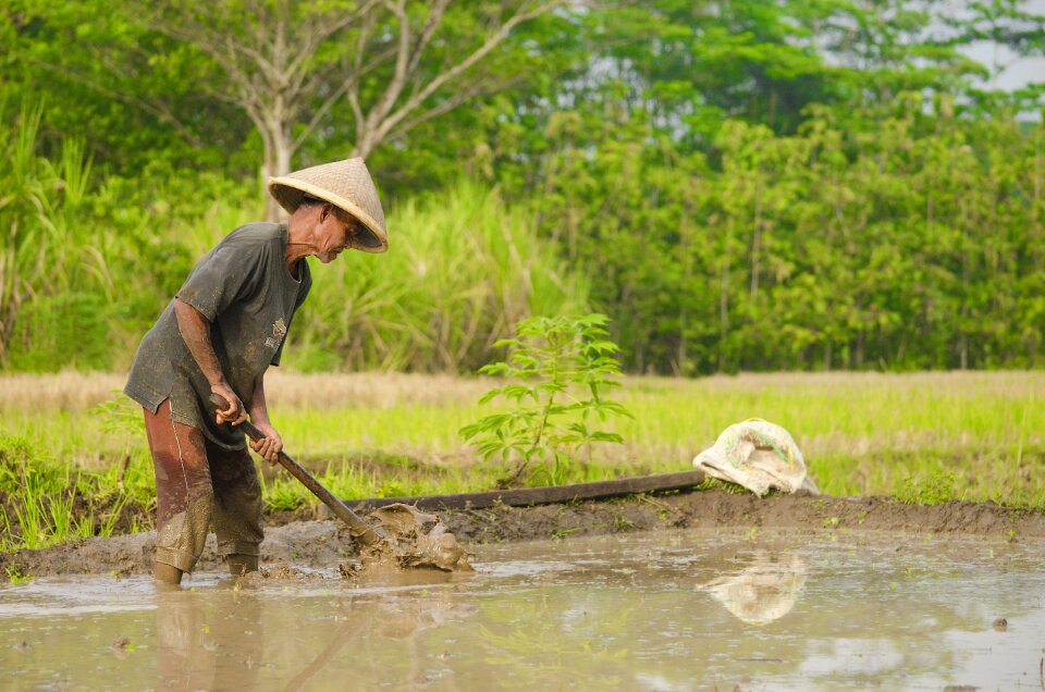 People nature agriculture