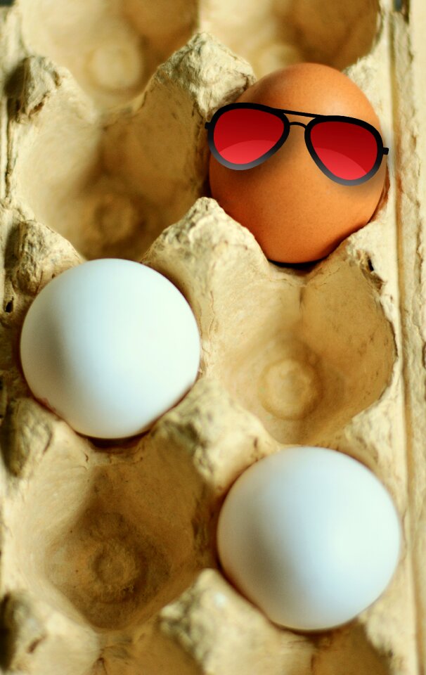 White eggs coloring egg carton