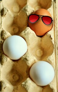 White eggs coloring egg carton