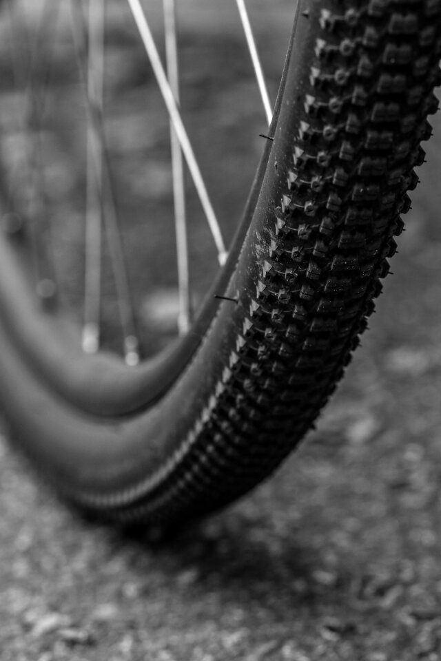 Bicycle cycle gray bike