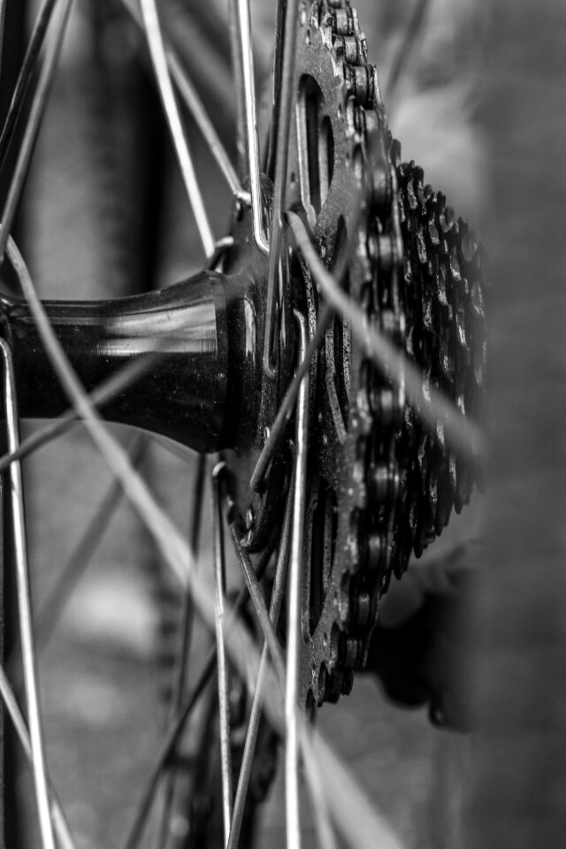 Cycle macro gray bike