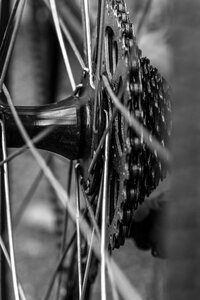 Cycle macro gray bike