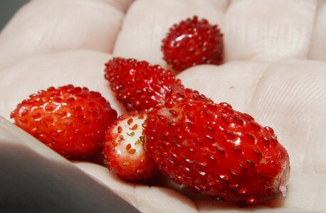 Eating juicy tasty