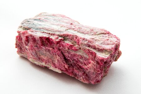 Pork isolated form no person