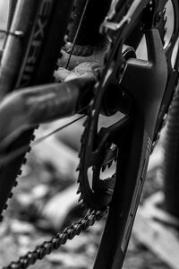 Bicycle cycle gray bike
