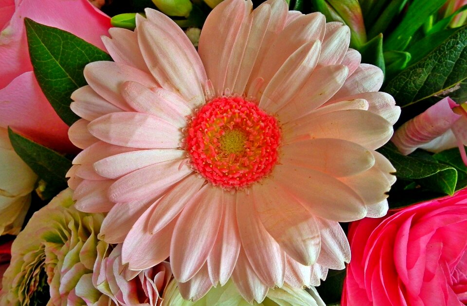 Plant leaf floral