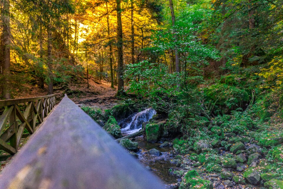 Nature rock landscape